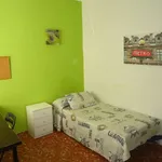 Rent a room in cordoba