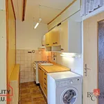 Rent 1 bedroom apartment in Sokolov