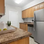 Rent 2 bedroom apartment in Kingston