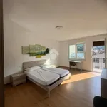 Rent 5 bedroom apartment of 20 m² in Rovereto