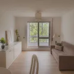 Rent 1 bedroom apartment of 55 m² in porto