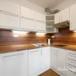 Rent 1 bedroom apartment in Praha 4