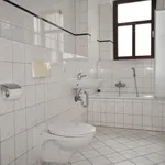 Rent 2 bedroom apartment of 55 m² in Chemnitz