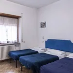 Rent 1 bedroom apartment in rome