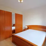 Huur 3 slaapkamer appartement van 150 m² in brussels