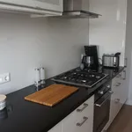 Rent 1 bedroom apartment of 75 m² in Arnhem