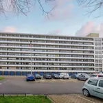 Huur 3 slaapkamer appartement van 84 m² in Arnhem