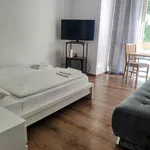 Rent 1 bedroom apartment of 26 m² in Freiburg im Breisgau