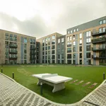 Rent 1 bedroom apartment of 53 m² in Watford