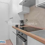 Rent 3 bedroom apartment of 60 m² in Milan