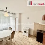 Rent 1 bedroom apartment of 45 m² in Ústí nad Labem