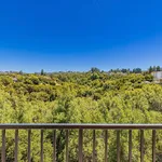 Rent 3 bedroom apartment in Alameda