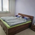 Rent 2 bedroom apartment in Hodonín