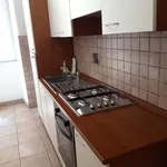 Rent 2 bedroom apartment of 55 m² in Roma