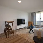 Rent 1 bedroom apartment in Ottawa