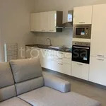 Rent 3 bedroom apartment of 100 m² in Sarmato