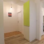 Rent 5 bedroom apartment in Prague