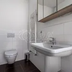 Rent 3 bedroom apartment of 64 m² in Capital City of Prague