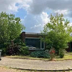 Huur 2 slaapkamer appartement van 52 m² in Valkenswaard