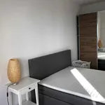 Rent a room of 130 m² in Frankfurt am Main