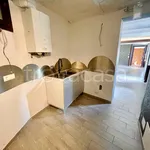 Rent 3 bedroom apartment of 130 m² in Torino