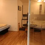 Miete 1 Schlafzimmer wohnung von 40 m² in Vienna