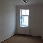 Pronajměte si 1 ložnic/e byt o rozloze 110 m² v Pilsen