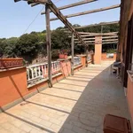 Rent 2 bedroom apartment of 85 m² in Trevignano Romano