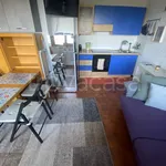 Rent 2 bedroom apartment of 30 m² in Viola