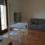 2-room flat good condition, first floor, Centro, Monticello Conte Otto