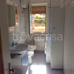 Rent 1 bedroom apartment of 65 m² in Ladispoli