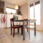 Rent 3 bedroom apartment of 80 m² in Pistoia