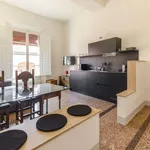 Rent 1 bedroom apartment of 50 m² in bologna