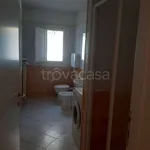 Rent 1 bedroom apartment of 55 m² in Modena