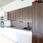 Rent 1 bedroom apartment of 35 m² in Brno