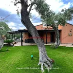 Rent 4 bedroom house of 85 m² in Cefalù