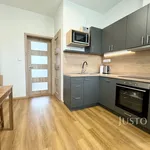 Rent 2 bedroom apartment of 47 m² in Lovosice