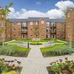 Rent 1 bedroom flat in Bedford