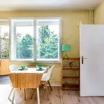 Rent 1 bedroom apartment of 35 m² in Berlin