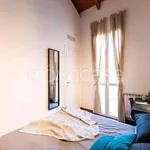 Rent 1 bedroom apartment of 40 m² in Milano