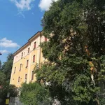 Rent 5 bedroom apartment of 160 m² in Bologna