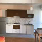 Rent 1 bedroom apartment of 40 m² in Asti