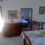 Rent 3 bedroom apartment of 50 m² in Montignoso