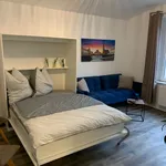 Rent 1 bedroom apartment of 40 m² in Chemnitz