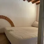 Rent 2 bedroom apartment of 40 m² in Siena