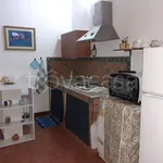 Rent 1 bedroom apartment of 35 m² in Misterbianco