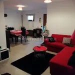 Rent 2 bedroom apartment of 55 m² in Nettuno