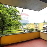 Rent 2 bedroom apartment of 54 m² in Salsomaggiore Terme