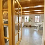 Rent 1 bedroom house in Mladá Boleslav