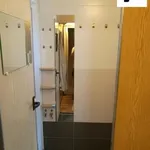 Rent 1 bedroom apartment in Plzeň